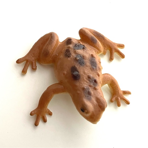 10 Colorful Miniature Toy Frogs Toads Amphibians Poison Dart Tree Frog Blue Red - Picture 5 of 14